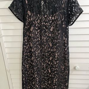 Ann Taylor Loft Black lace dress size 6